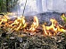 В Туве началась подготовка к пожароопасному сезону 